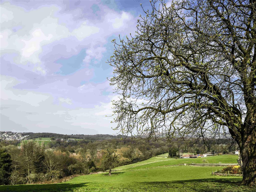 Mercure Bradford, Bankfield Hotel Брадфорт Екстериор снимка